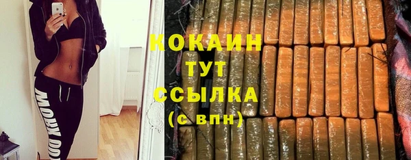 индика Верея